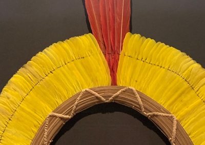 1415186-6706ad1e51a2c