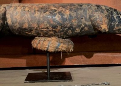 1455237-main-675c08e91193b