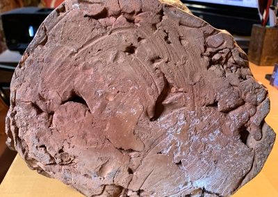 1497493-alb-67bdda98702a0