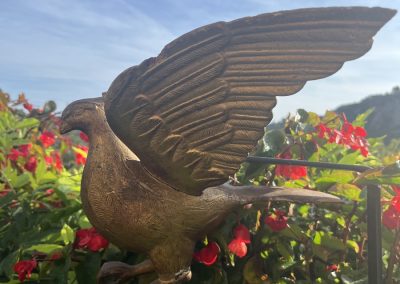 1615317-68c67672498fe