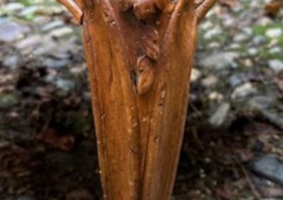 1660215-alb-69282060b1d61